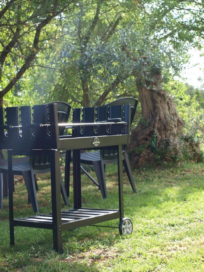 אומאג Apartments Mirasol מראה חיצוני תמונה
